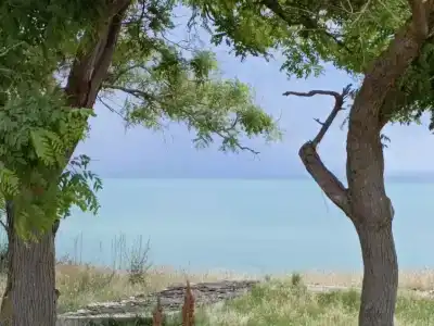 Жемчужный - 29