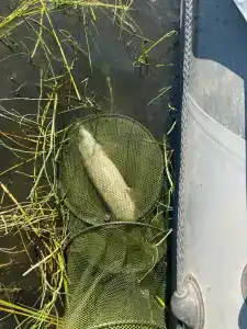 Форт Верный - 54