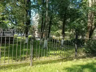 Волхов - 49