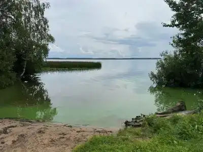 Сокольский Бор - 5