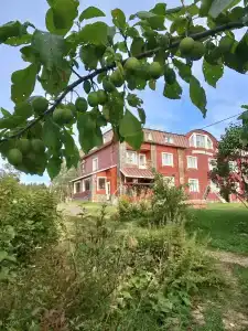 Длинный берег - 41