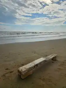 Метрополь - 85