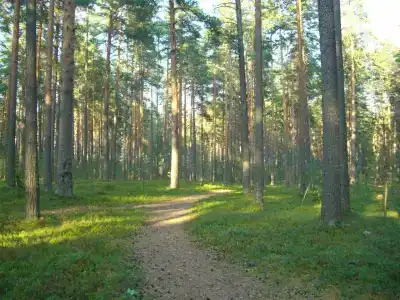 Каменная гора - 13