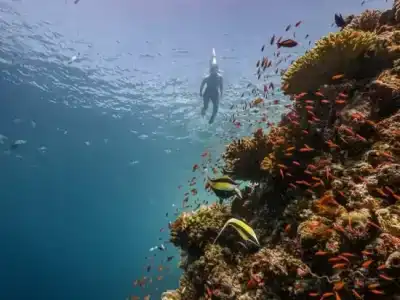 Sun Siyam Vilu Reef - 44