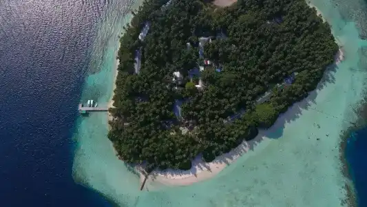 Biyadhoo Island Resort - 15