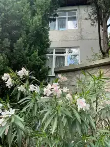 Симеиз-тур - 73
