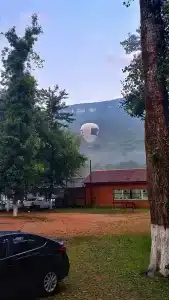 Кактус Арт - 50