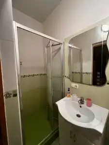 Сосна и Пальмы - 23