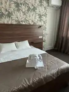 Ласточкино гнездо - 43