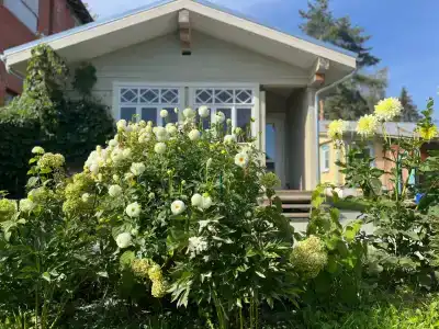 СуздальСад - 42