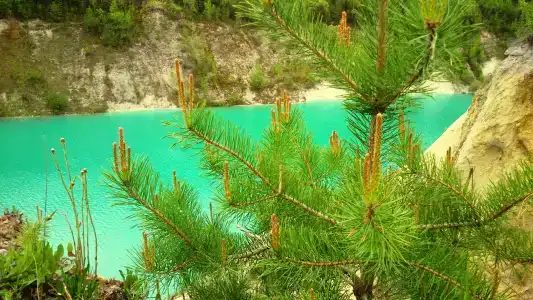 Энергетик - 11