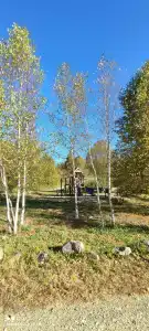 Облака - 49