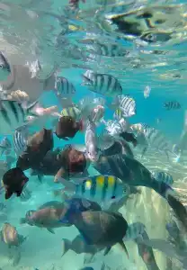 Pyramisa Beach Resort Sahl Hasheesh - 23