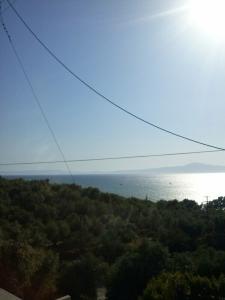 Villa Teo - 30