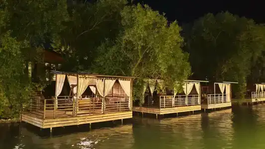 Главрыба - 1