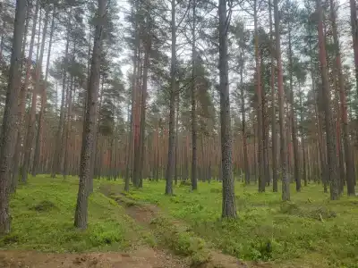 Свободное время - 3