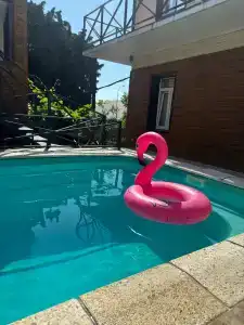 Апельсин - 22