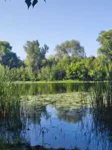 H2O-драйв - 38