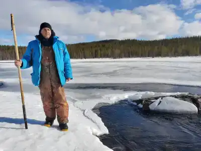 Compass Sosnovaya - 14