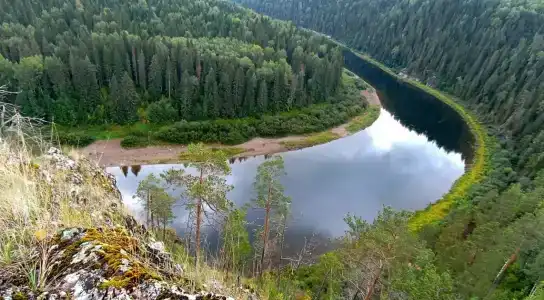 Филин - 6