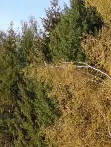 На Вазузу - 47