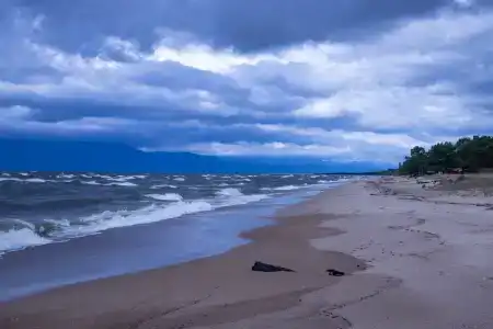 Байкальский медведь - 43
