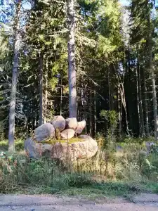 Мантиансаари - 16