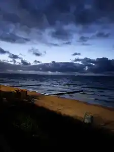 Неринга - 28