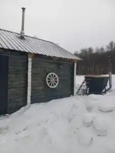 Гнездо - 35