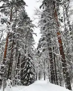 Шанти озеро - 23