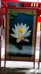 6 - 10