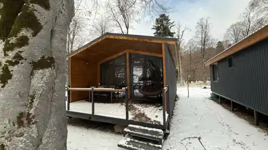 Сириус Неон - 29