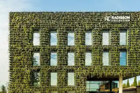 Tsinandali Estate, A Radisson Collection - 25