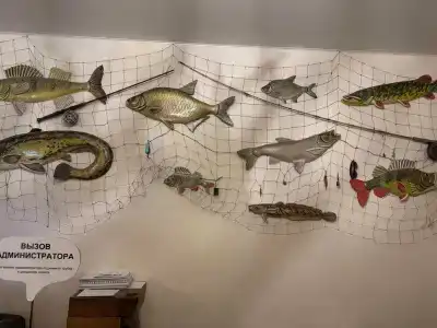 Big Fish - 47