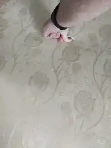 Sunflower by Zont - 63