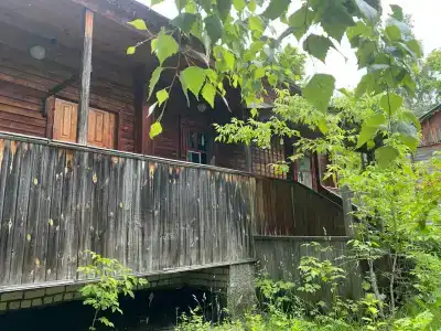 Дорожник - 5