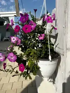 Kassandra Palace - 38