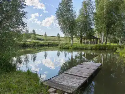 Березовый хутор - 10