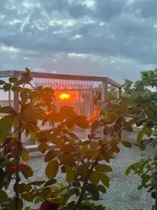 Фридом Веселовка - 35