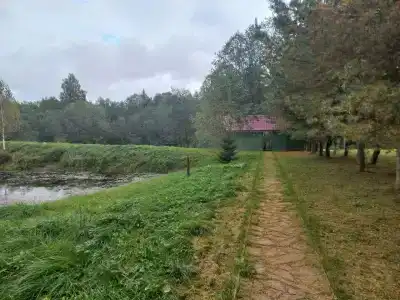 Романов дача - 11