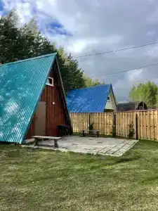 Золотой фазан - 35