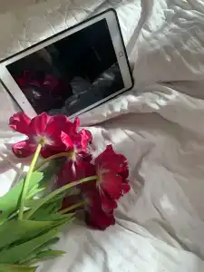 Яблоки - 21
