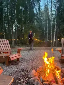 Fox in forest - 45