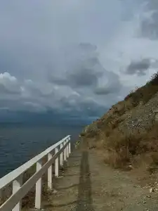 Эколоджия - 86