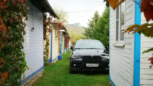 Снежный Барс - 32