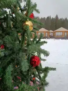 Раздолье - 17