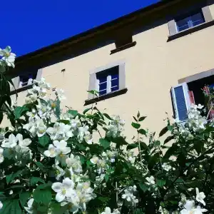 Bella di Ceciliano - 11