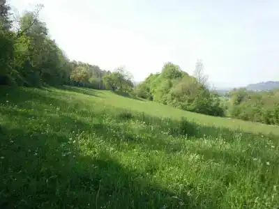 b&b Al Samaron - 5