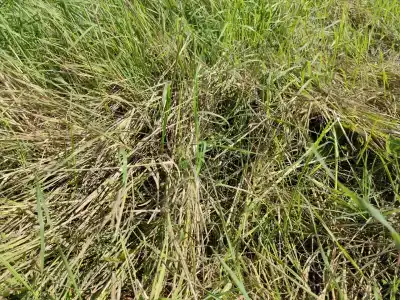 Туристический комплекс Ригола - 70