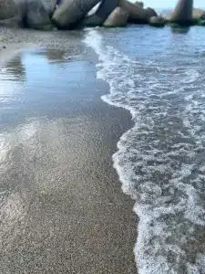 Фламинго - 67